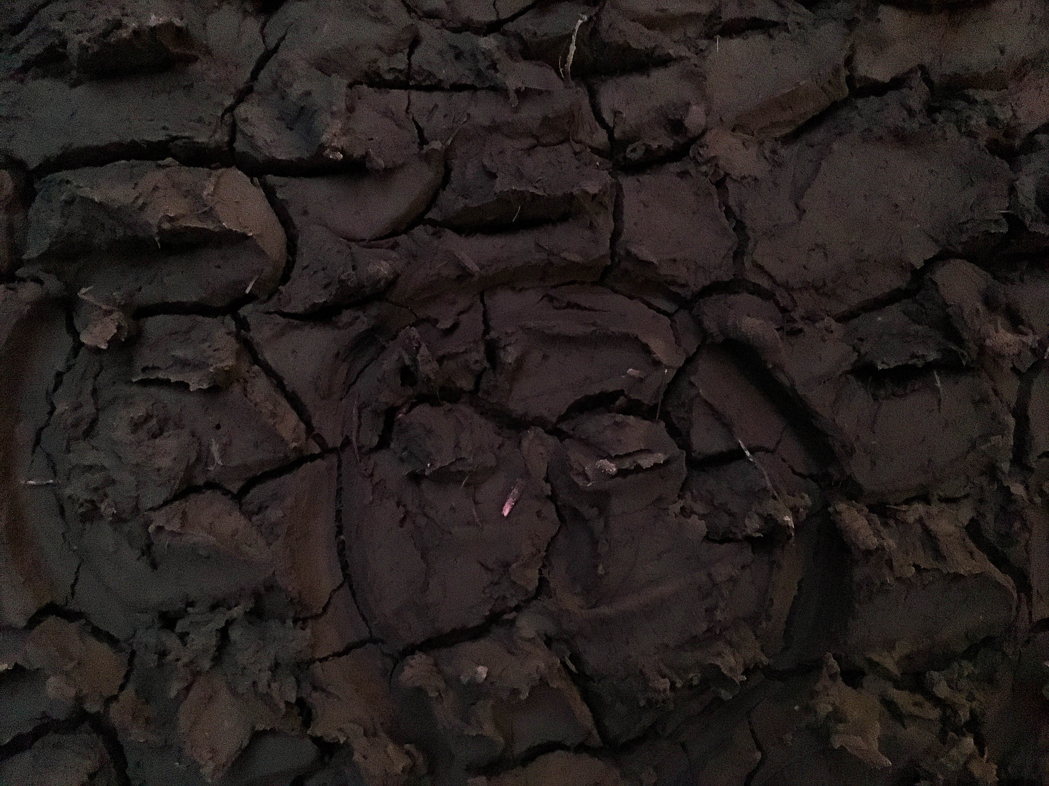Dineo Sheshee Bopape artwork photograph 2