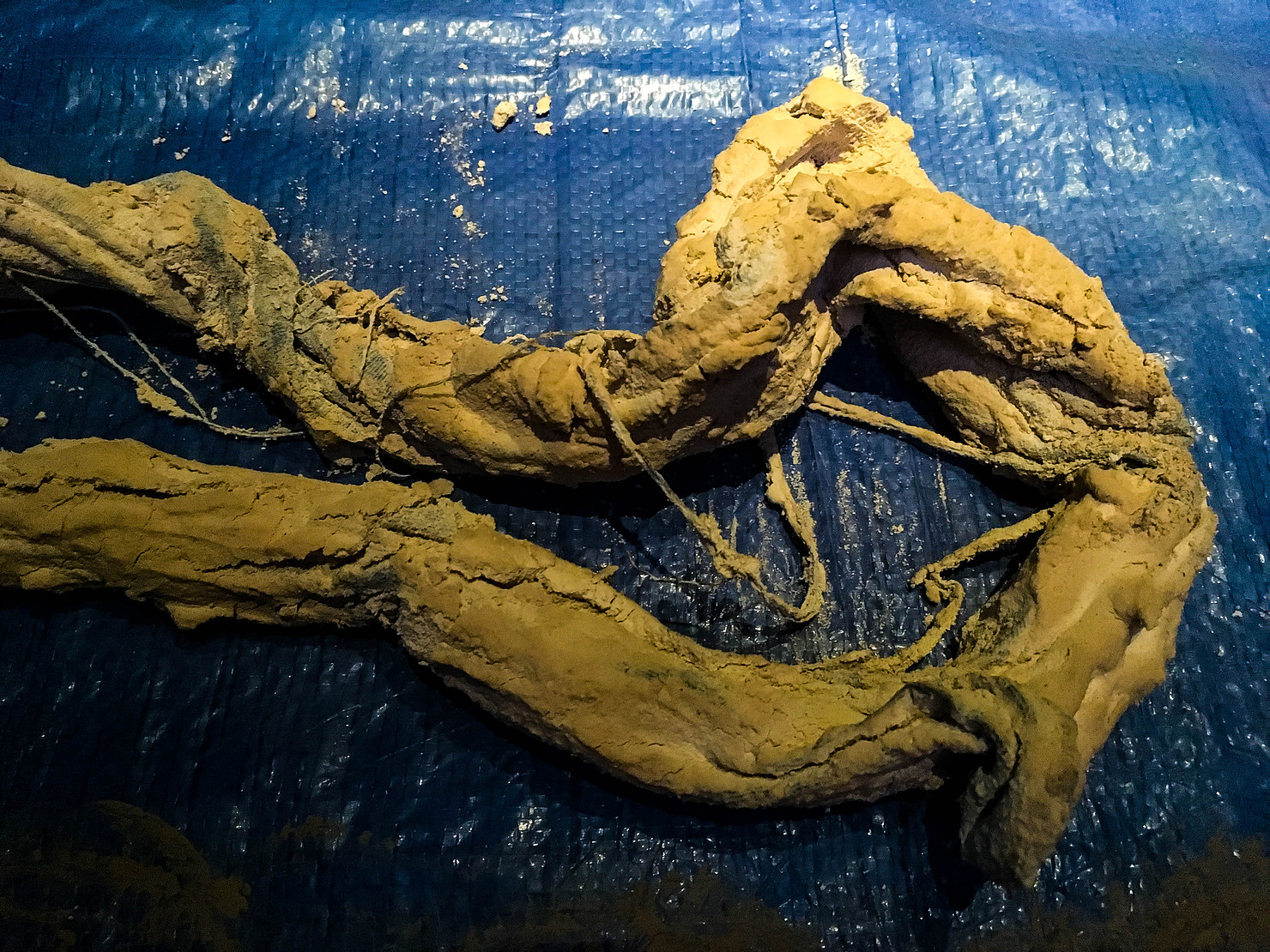Dineo Sheshee Bopape artwork photograph 6